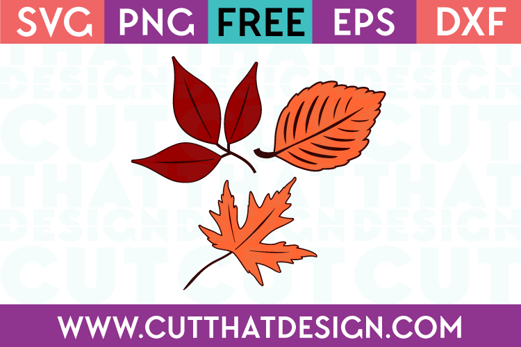 Free Autumn/Fall Leaves Design Set 1 SVG