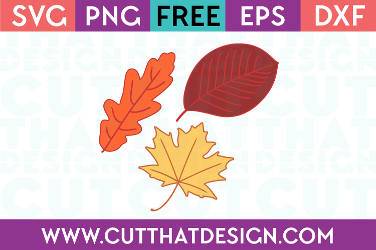 Free Autumn/Fall Leaves Design Set 2 SVG