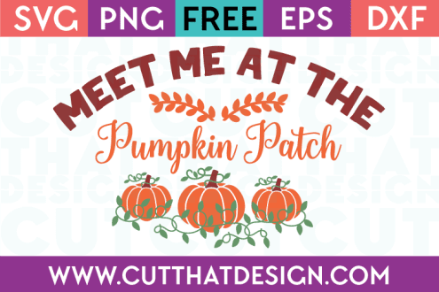 Meet me at the Pumpkin Patch