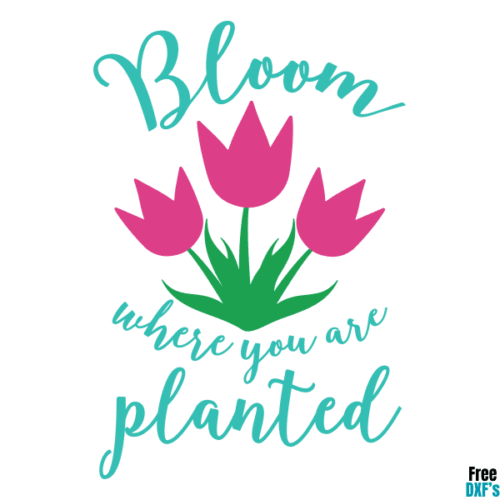 Free Bloom where you are Planted Spring Quote DXF